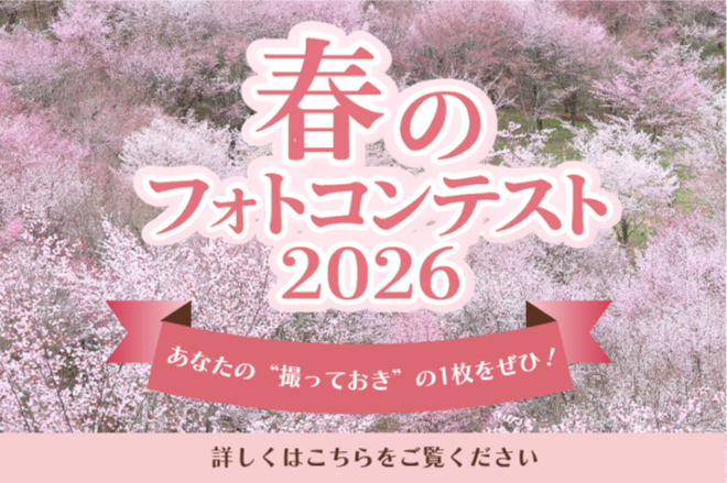 春のフォトコンテスト2026