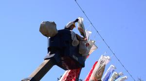 こいのぼり設置2