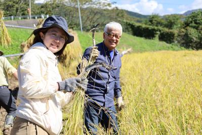稲刈りをするみなさん