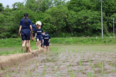 隅々まで植える様子