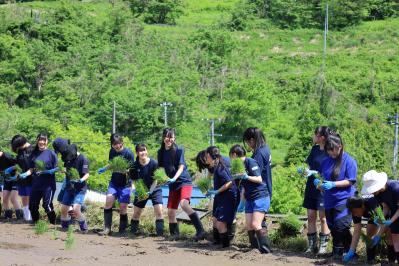 田んぼに入る様子