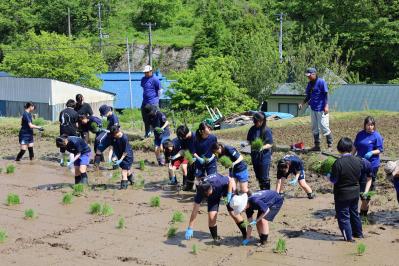 あいばせの皆さんや地域の方と一緒に田植えをする様子