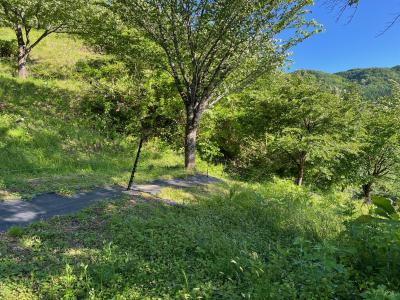 桜峠の電柵設置