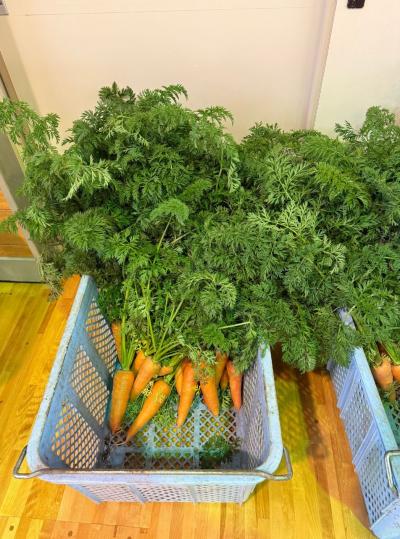 中村さんの写真