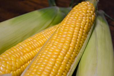 とうもろこし