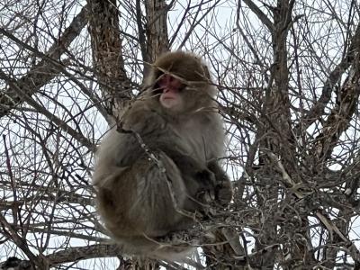 渡邉さんの写真