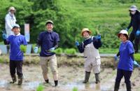 田植えの様子